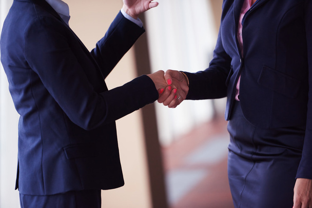 business women make deal and handshake - Fotó, kép