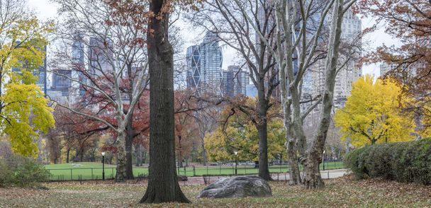 Central Park, New York City in het najaar - Foto, afbeelding