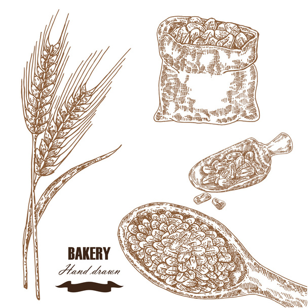 穀物セット。手描きのスケッチ図小麦, 大麦, 穀物 - ベクター画像