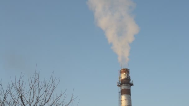 Καπνός που βγαίνει από τη βιομηχανική τούβλο καμινάδα - Πλάνα, βίντεο