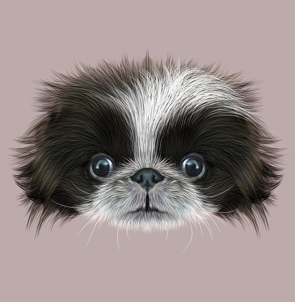 Geïllustreerde portret van Pekingees hond - Foto, afbeelding