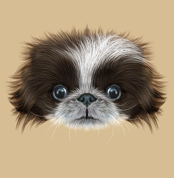 Иллюстрированный портрет пекинской собаки
 - Фото, изображение