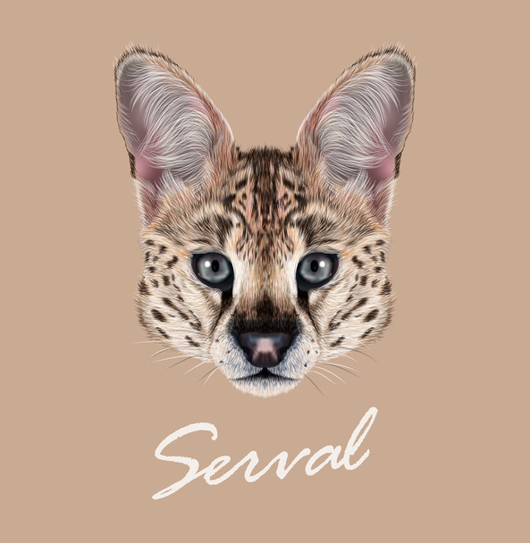 Serval cat wild animal face. Vector cute African savannah serval kitten Leptailurus serval head portrait. Realistic fur portrait of beautiful spotted serval kitty isolated on beige background. - Vector, Image