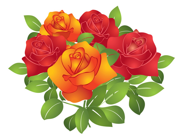 赤とオレンジ色の美しい花 - バラをベクトルします。 - ベクター画像