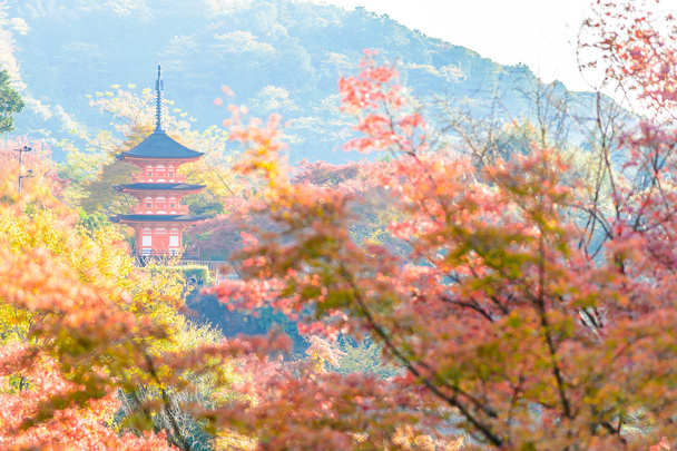 Templo Kiyomizu-dera en temporada de otoño
 - Foto, imagen