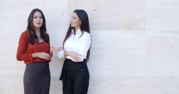vrouwelijke ondernemers staande chatten buiten - Video