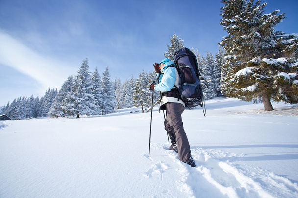 Hiker walks in snow forest - Valokuva, kuva
