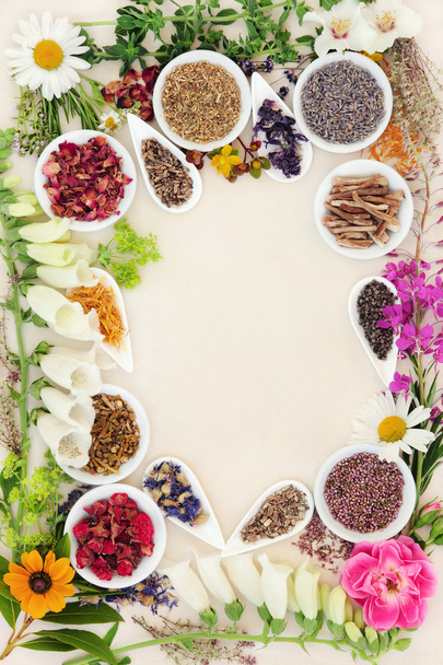 Ingredientes de la medicina herbal
 - Foto, imagen