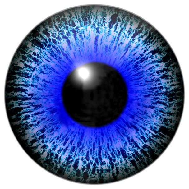 Isolated illustration of blue eye - Photo, Image
