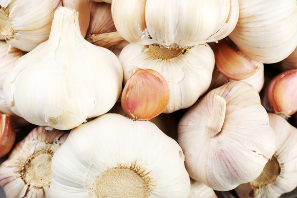 White garlic background  - Photo, image