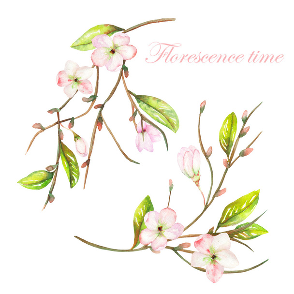 An illustration with the tender pink blooming flowers on the branches with the green leaves painted in watercolor - 写真・画像