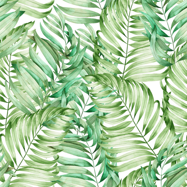 Un motif sans couture avec les branches d'aquarelle des feuilles d'une paume peinte sur un fond blanc
 - Photo, image