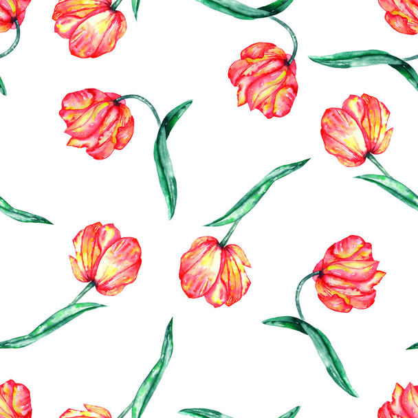 Bezešvé vzor s akvarel červené a žluté tulipány - Fotografie, Obrázek