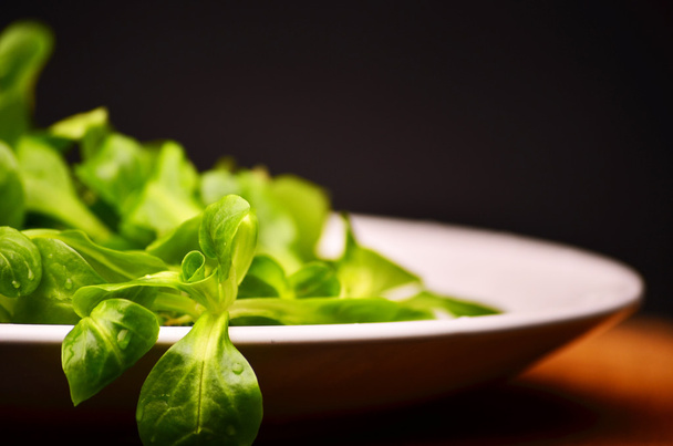 Лобуста Валерінелла, кукурудзяний салат, листя баранини
 - Фото, зображення