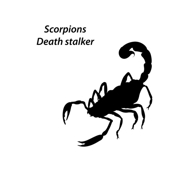 Skorpion Todesstalker-Vektor - Vektor, Bild