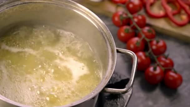 wprowadzenie soli do gotowania makaronu o nazwie rigatoni - Materiał filmowy, wideo