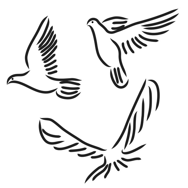 Ensemble de colombes blanches
. - Photo, image