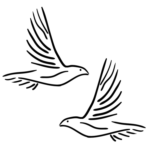 Set of white doves. - Φωτογραφία, εικόνα
