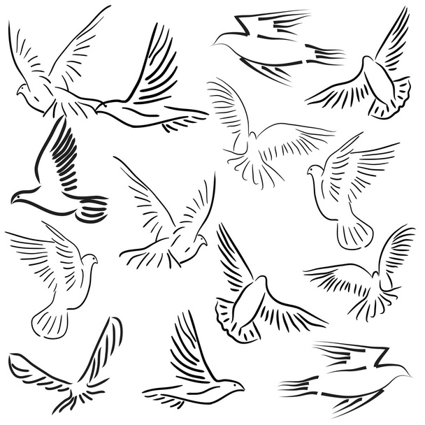 Set of white doves. - 写真・画像