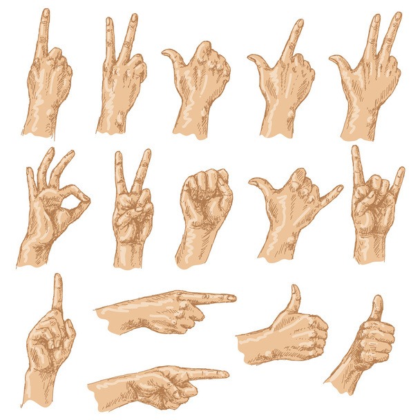 Colored sketch of hand gestures. - Vector, Image