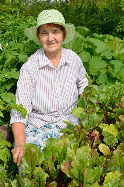 An elderly woman smiles next to a bed of young beet - Foto, immagini