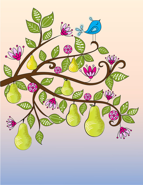 patrijs in een perenboom - Vector, afbeelding