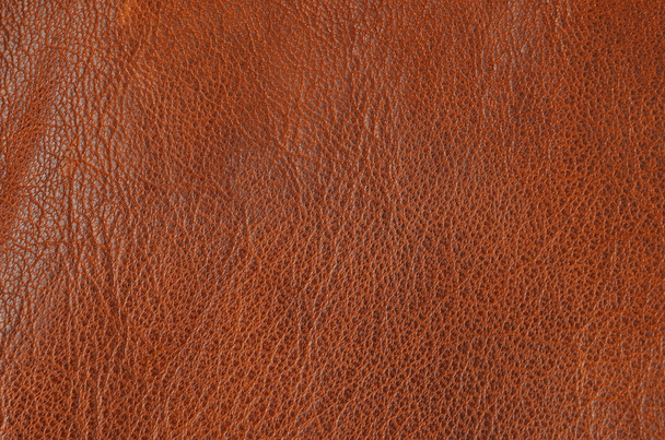 Natural leather background - Photo, Image