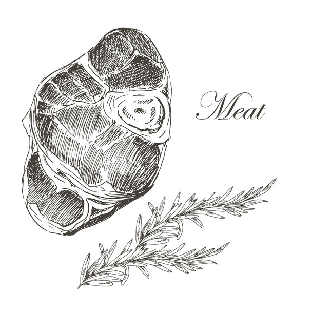 vector steak meat hand drawing with pepper and rosemary. detailed ink food illustration - ベクター画像