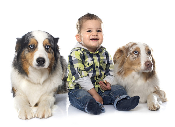 Kleine Jungen und Hunde - Foto, Bild