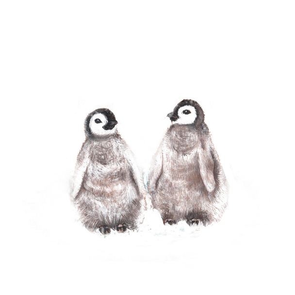 Watercolor penguins illustration - Photo, image