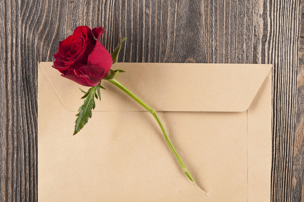 Red rose flower in a torn paper envelope. - Fotografie, Obrázek