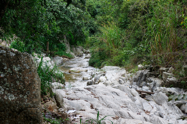 vista para o rio rocha
 - Foto, Imagem