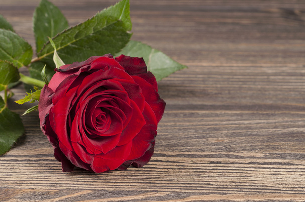Red rose flower on a wooden background. - Foto, imagen