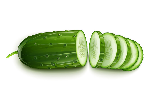 Ripe cucumber cut segment - Vector, imagen