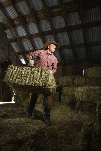 Man in Barn Moving Bales of Hay - Foto, imagen