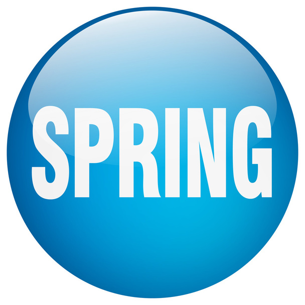 spring blue round gel isolated push button - Vector, Imagen