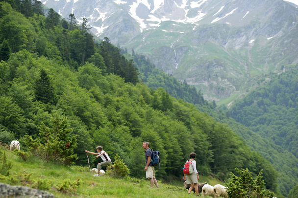 Group of hikers climbing hillside - Zdjęcie, obraz