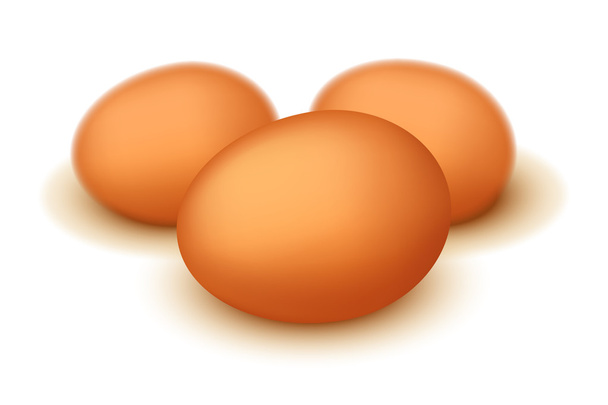 picture of egg27 - Vector, afbeelding