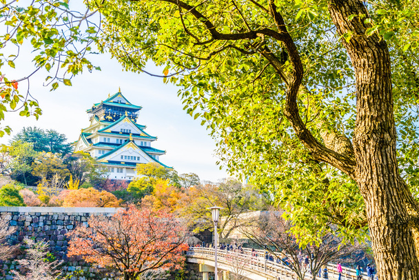 Красивий замок Осака архітектура - Фото, зображення