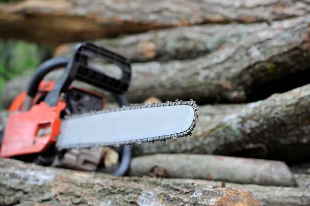  Chainsaw and tree - Photo, Image