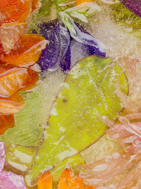 abstrakcja z zielonych liści w lodzie - Zdjęcie, obraz