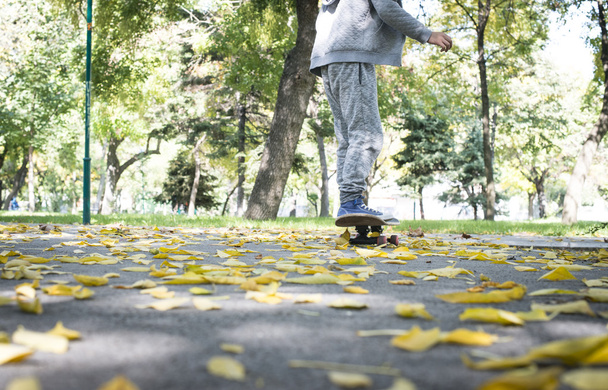Boy with skateboard in park - 写真・画像