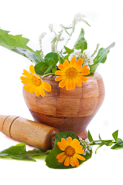 Mortar with herbs and marigolds - Photo, Image