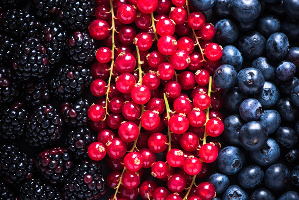 Farm fresh summer berry fruits background - Foto, Imagem