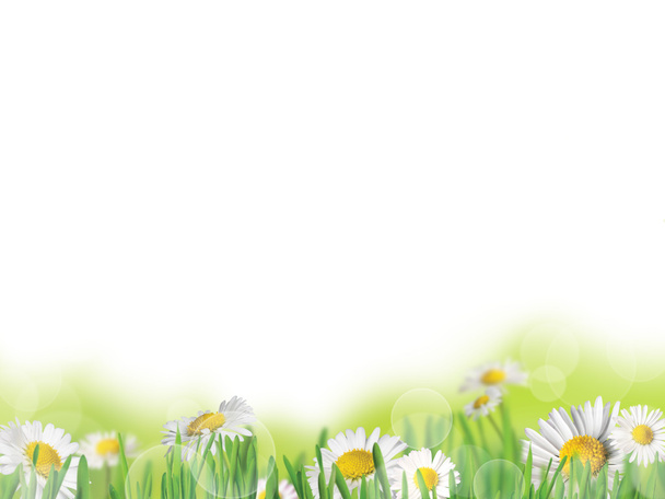 Spring background - Foto, afbeelding