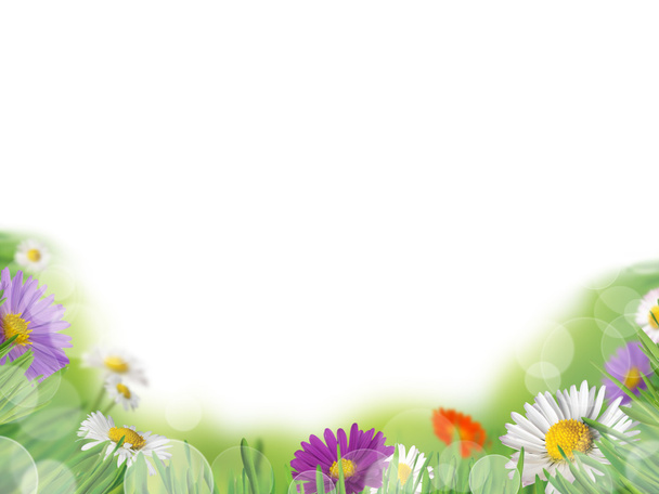 Spring background - Foto, afbeelding