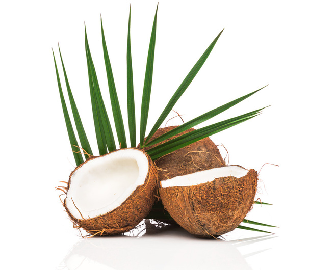 Kokosnuss mit grünen Blättern - Foto, Bild