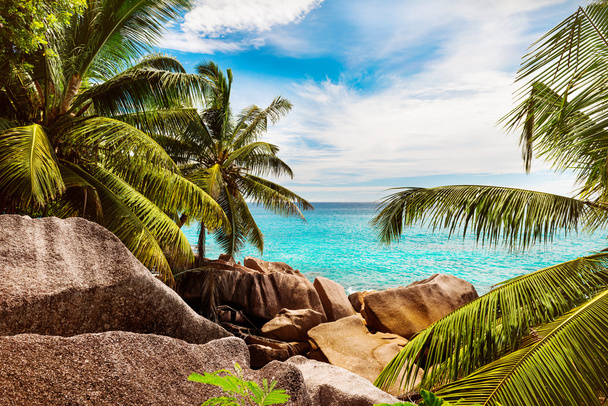 красивий тропічний пляж
 - Фото, зображення