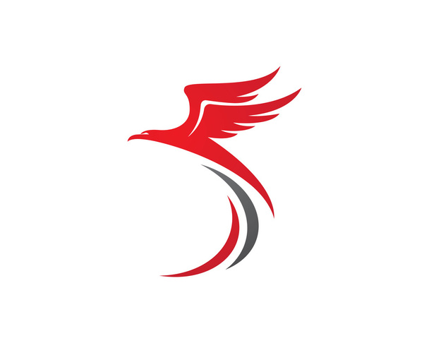 Vettore modello logo Falcon
 - Vettoriali, immagini