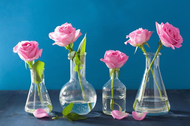 roze roze bloemen in chemische kolven over blauw - Foto, afbeelding